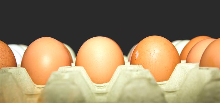 free range eggs - health foods