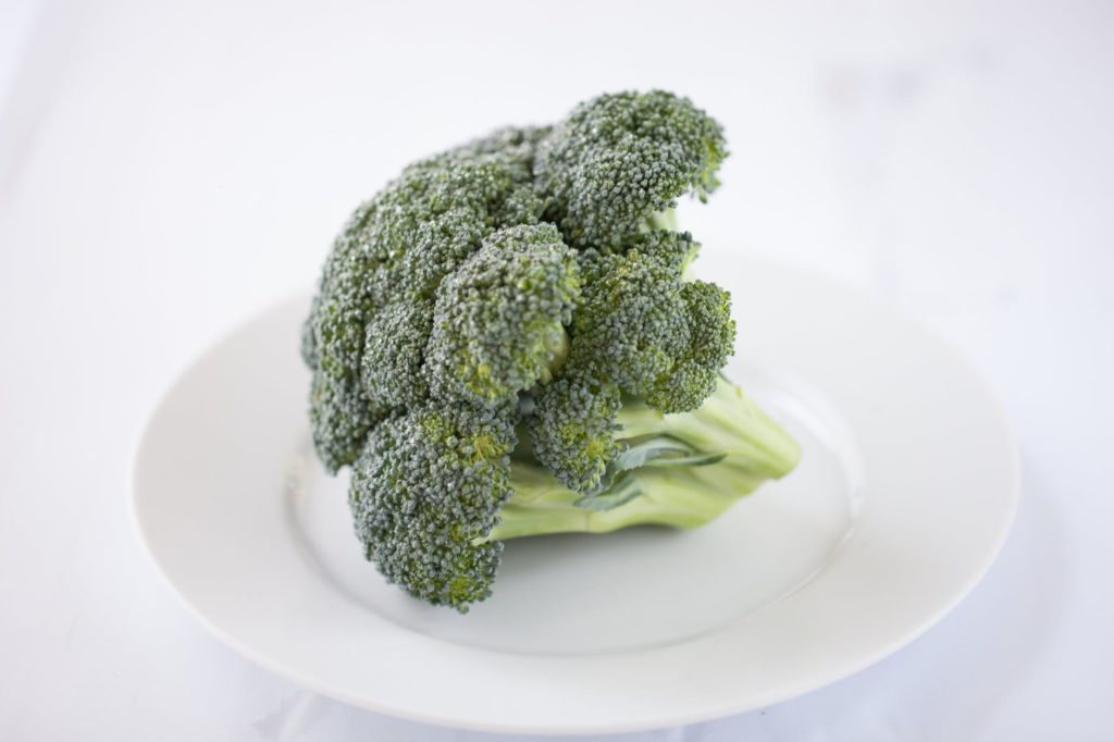 head of broccoli on white plate