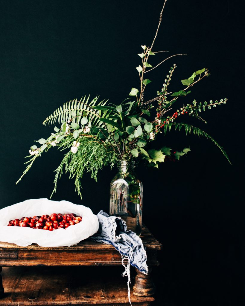 cranberries in a bag on a table with plant