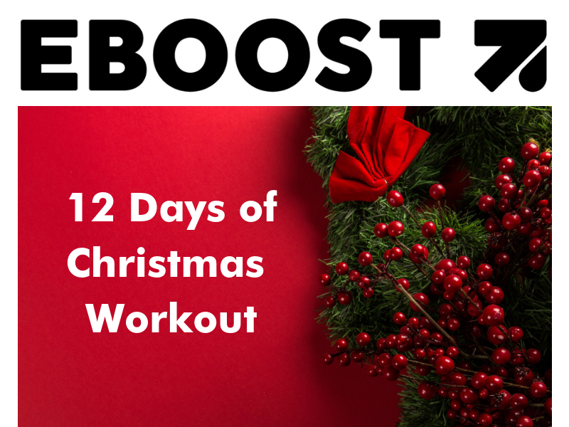 EBOOST's 12 Days of Christmas