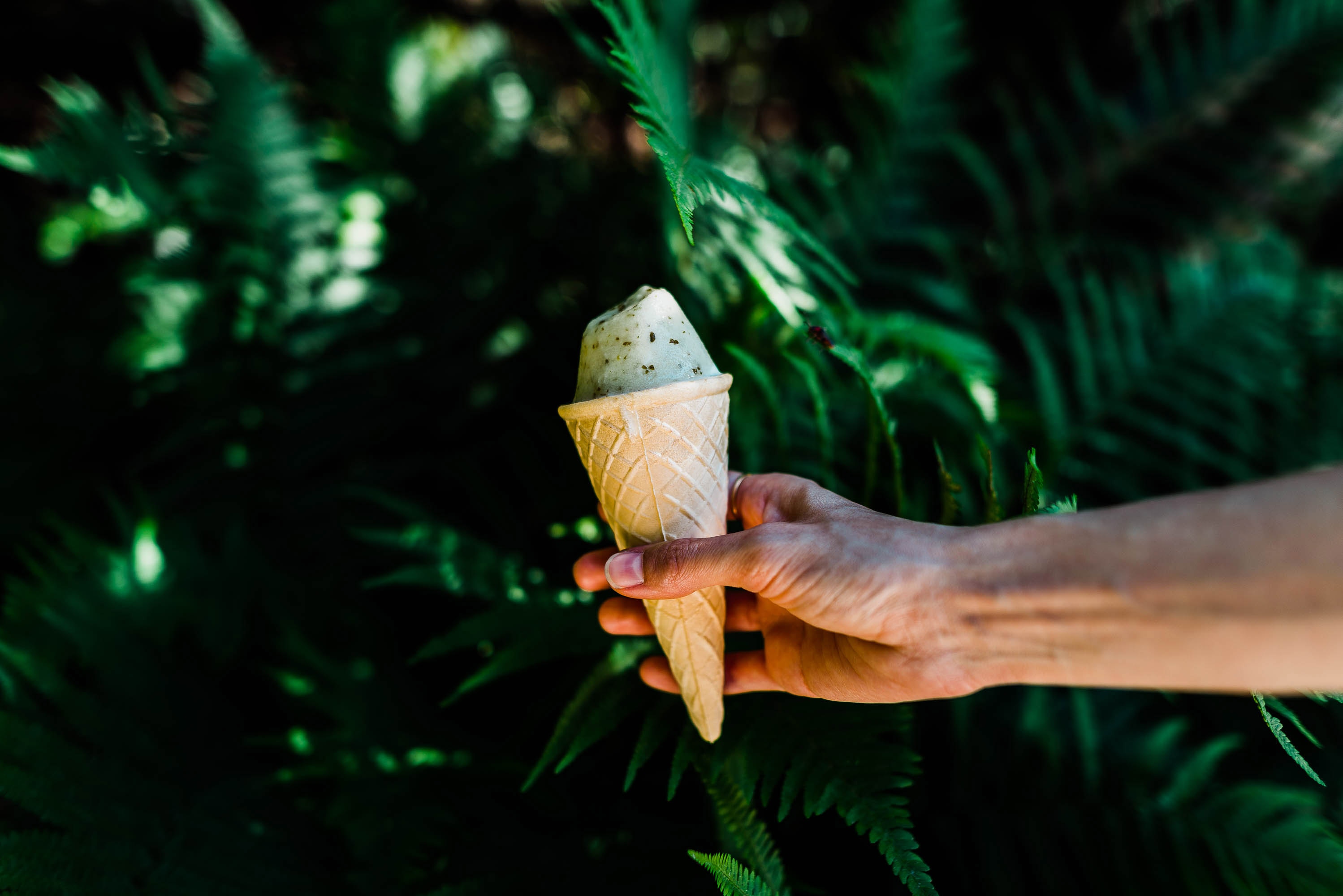 Desserts That Won t Spike Your Blood Sugar EBOOST Blog