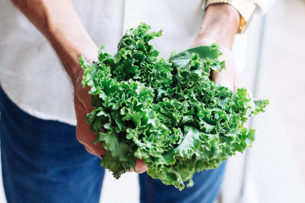 person holding kale