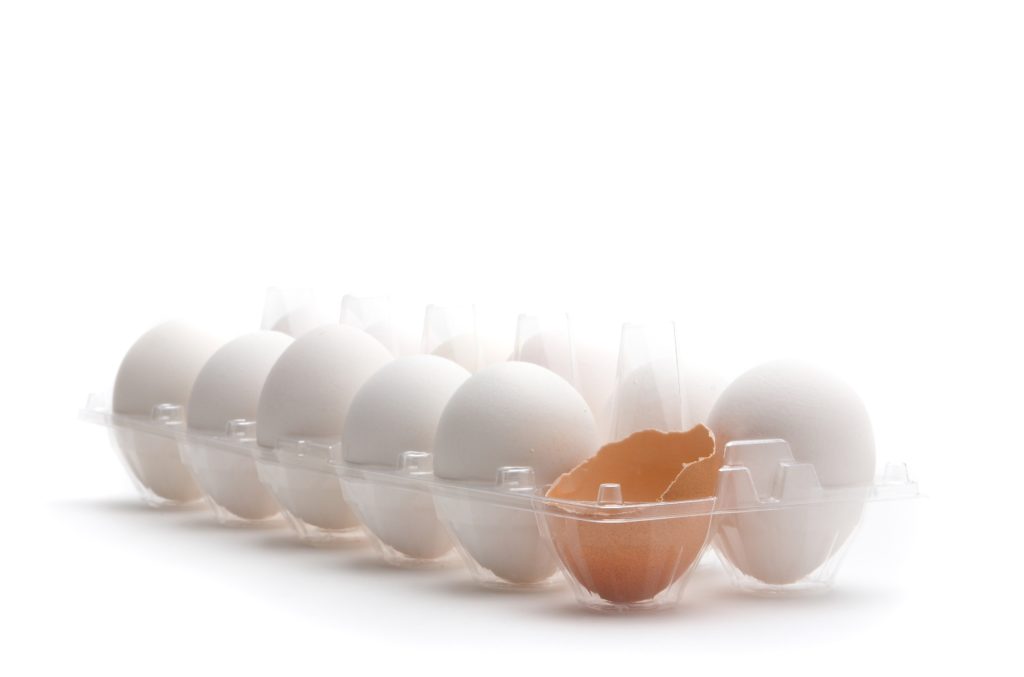 a dozen white eggs with one brown egg