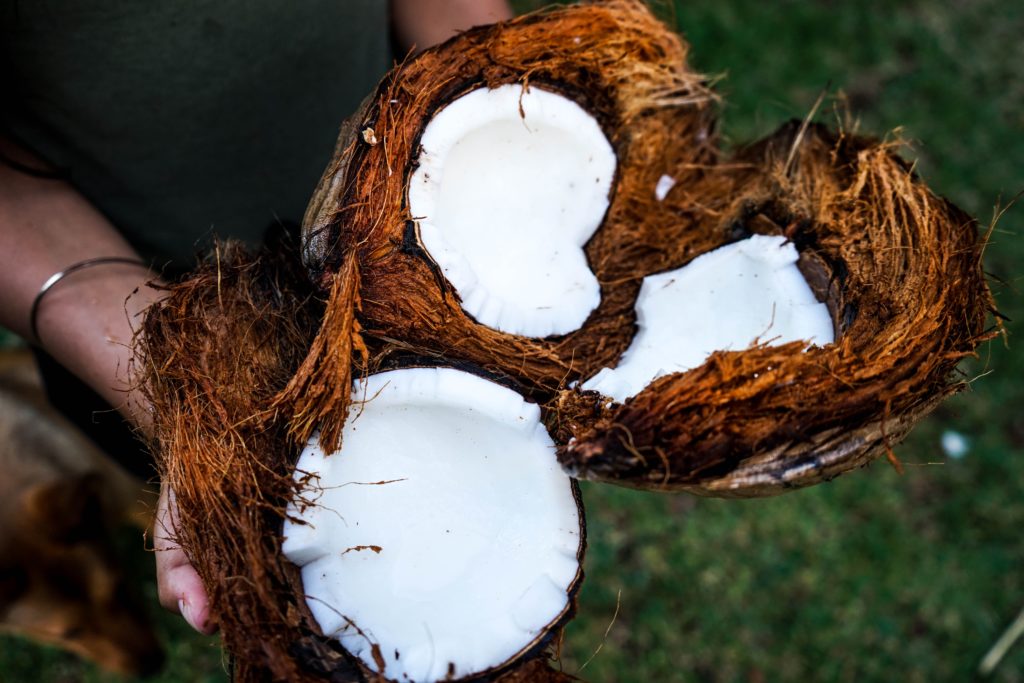 open coconuts in hands