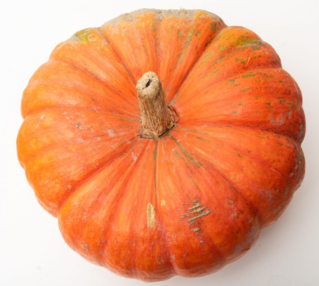 a pumpkin, not canned pumpkin